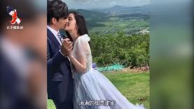 为什么海洋霸主虎鲸不吃人类游戏画面